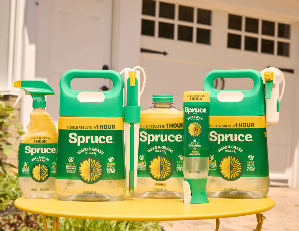 Spruce product lineup